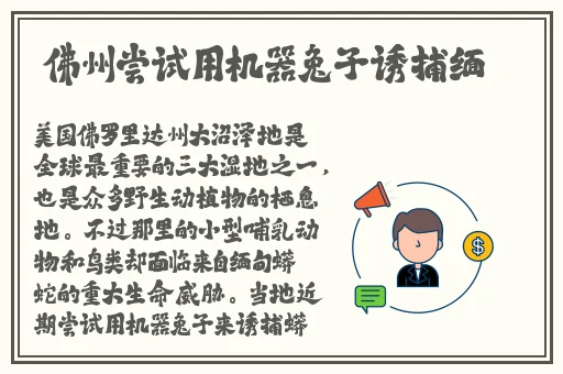 国产精品无码A∨精品影院app